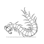 How to Draw a Scolopendra