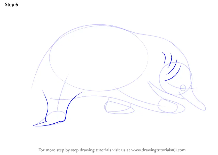 Step by Step How to Draw a Spiny Anteater : DrawingTutorials101.com