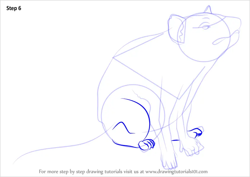 How to Draw Tasmanian devil (Other Animals) Step by Step ...