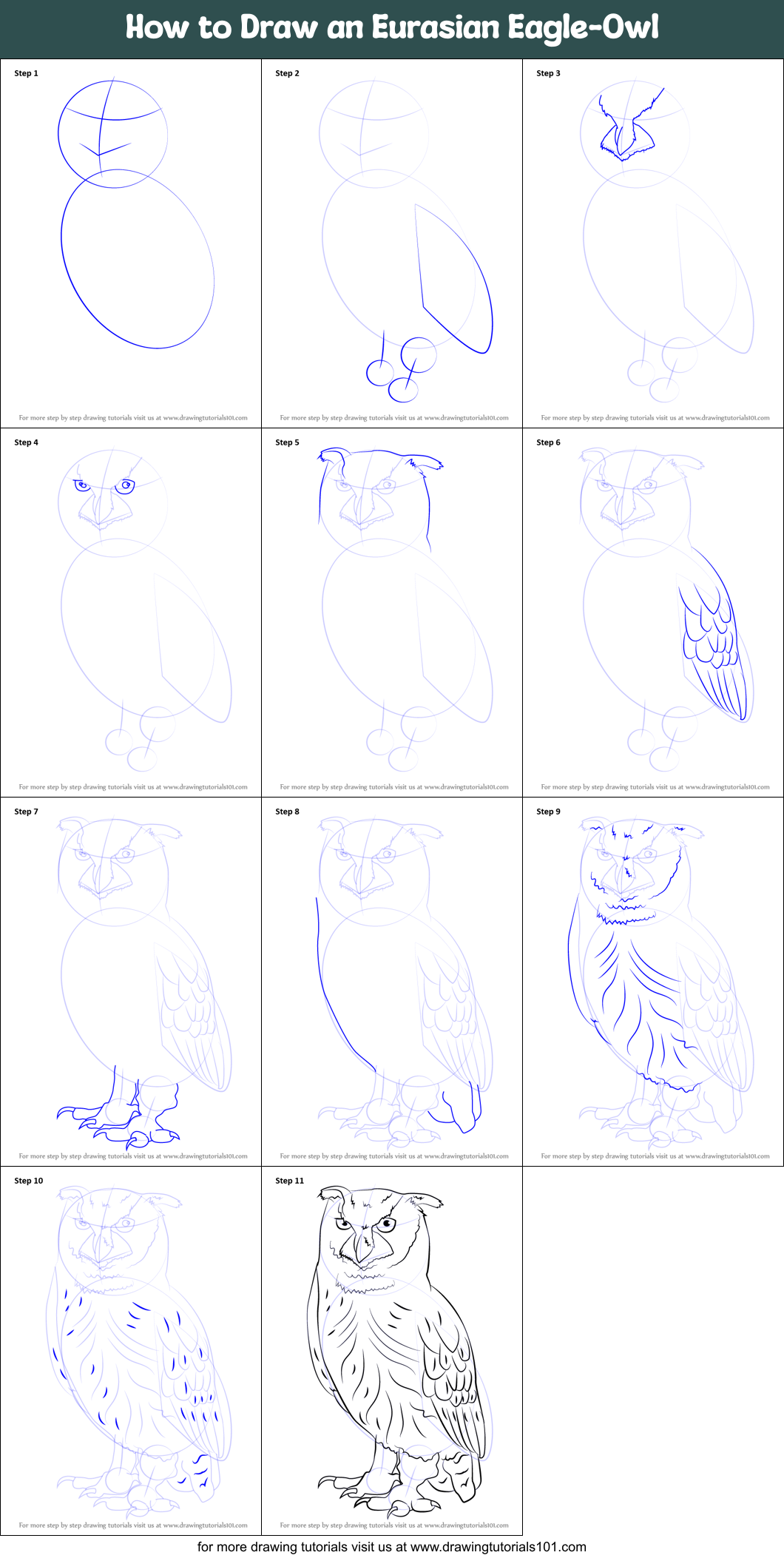 How to Draw an Eurasian Eagle-Owl printable step by step drawing sheet ...