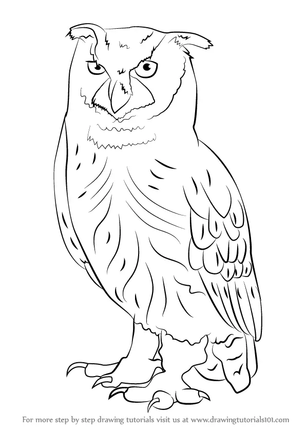 Learn How to Draw an Eurasian Eagle-Owl (Owls) Step by Step : Drawing