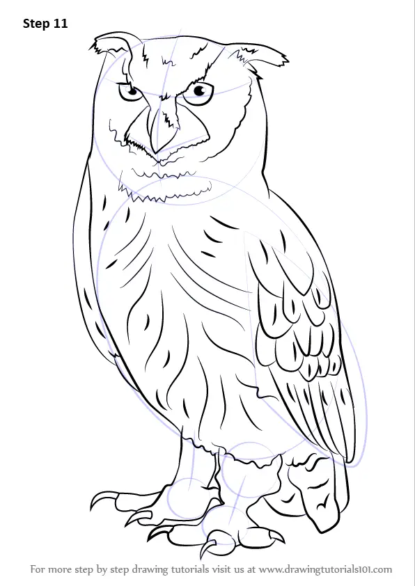 How to Draw an Eurasian Eagle-Owl (Owls) Step by Step ...