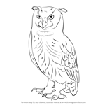 How to Draw an Eurasian Eagle-Owl