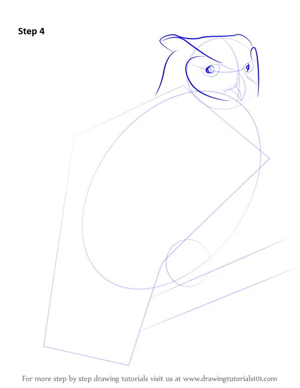 How to Draw a Great Horned Owl (Owls) Step by Step