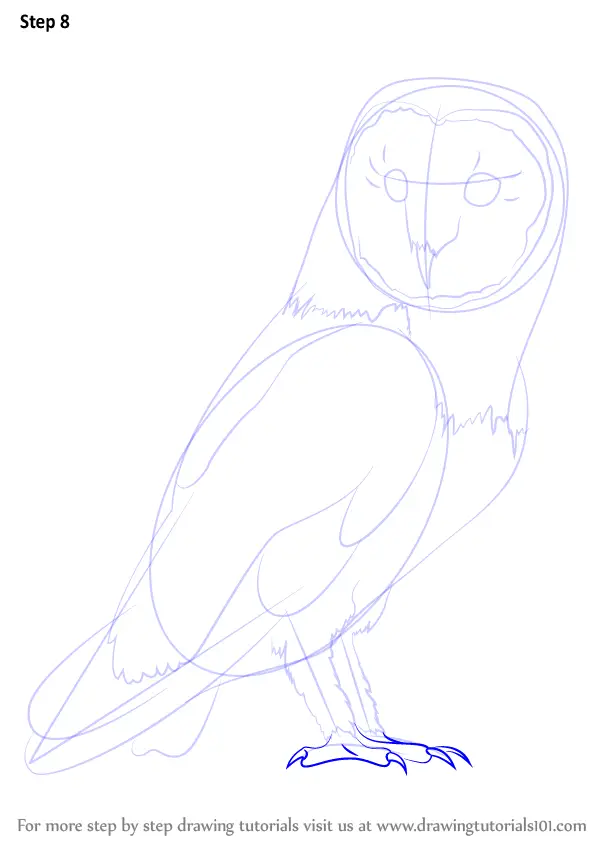 How To Draw An Owl Owls Step By Step 