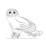 How to Draw a Short-eared owl