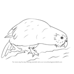 How to Draw a Kakapo
