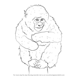 How to Draw a Japanese Macaque