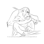 How to Draw a Orangutan