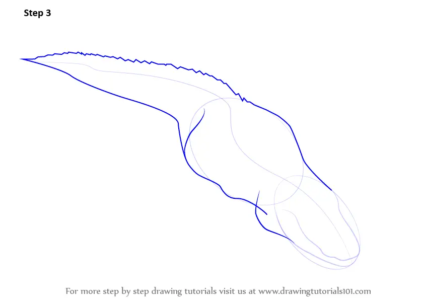 Learn How to Draw a Alligator (Reptiles) Step by Step : Drawing Tutorials