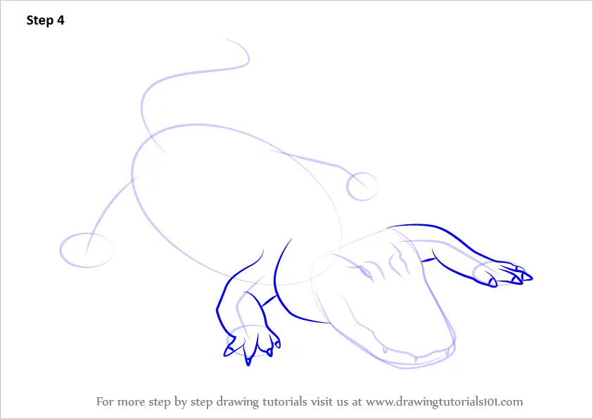 How to Draw an American alligator (Reptiles) Step by Step ...