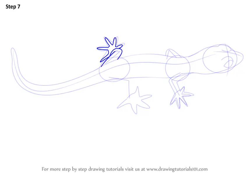 How to Draw a Bent-Toed Gecko (Reptiles) Step by Step ...