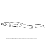 How to Draw a Black Caiman