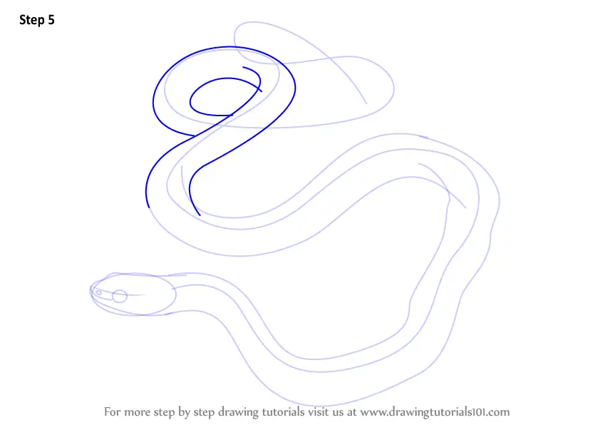 How to Draw a Common Garter Snake (Reptiles) Step by Step