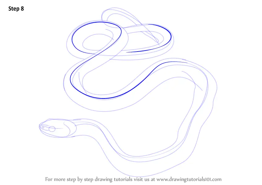 How to Draw a Common Garter Snake (Reptiles) Step by Step