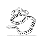 How to Draw a Common Garter Snake