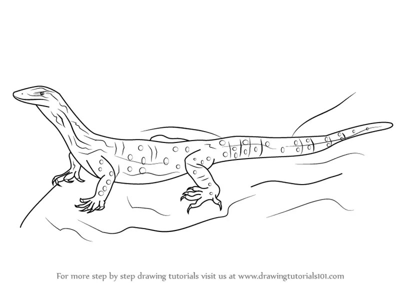 How to Draw a Goanna (Reptiles) Step by Step | DrawingTutorials101.com
