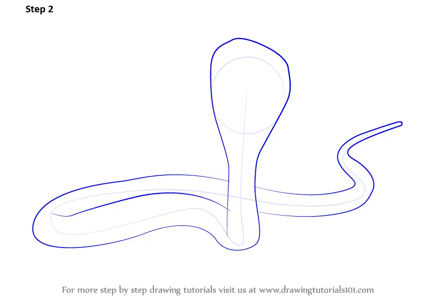 Learn How to Draw a King Cobra (Reptiles) Step by Step : Drawing Tutorials