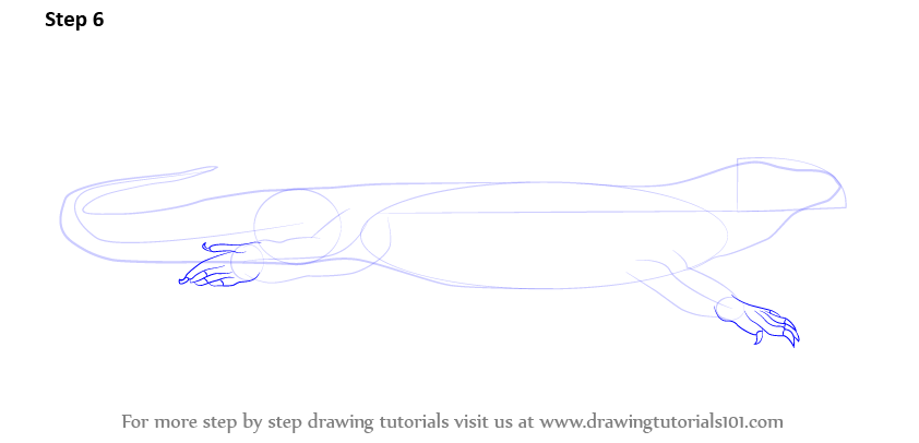 how to by turtle draw step step by a How Komodo to Dragon Step Step Draw (Reptiles) Learn