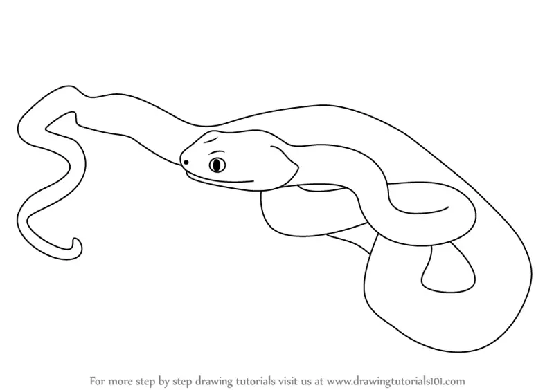 viper snake drawing face