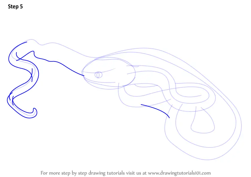 How to Draw a Pit Viper (Reptiles) Step by Step
