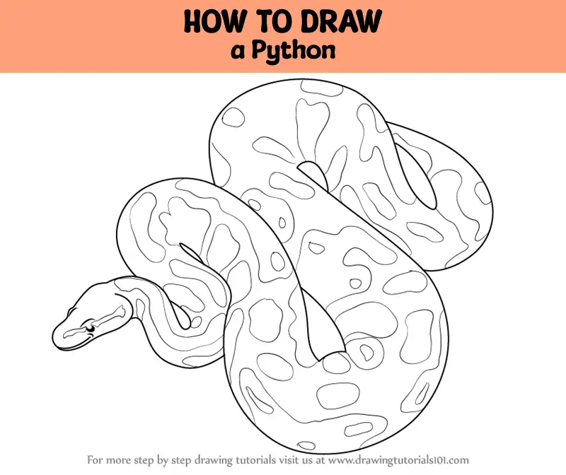 Quick, Draw!' – Classifying Drawings with Python