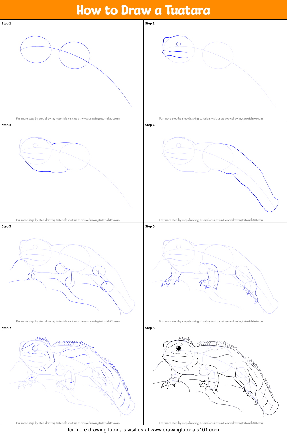 How to Draw a Tuatara printable step by step drawing sheet ...