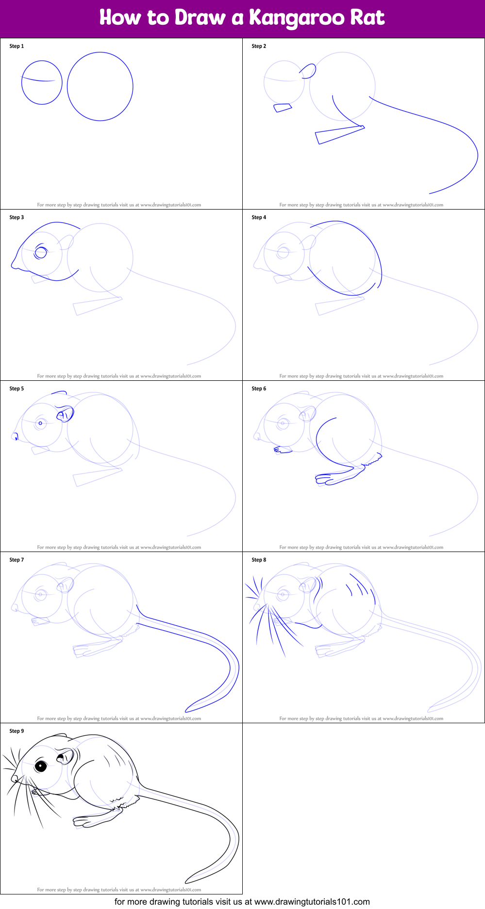 How to Draw a Kangaroo Rat (Rodents) Step by Step | DrawingTutorials101.com