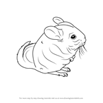 How to Draw a Long-Tailed Chinchilla