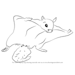 How to Draw a Northern Flying Squirrel