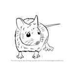 How to Draw a Wood Mouse