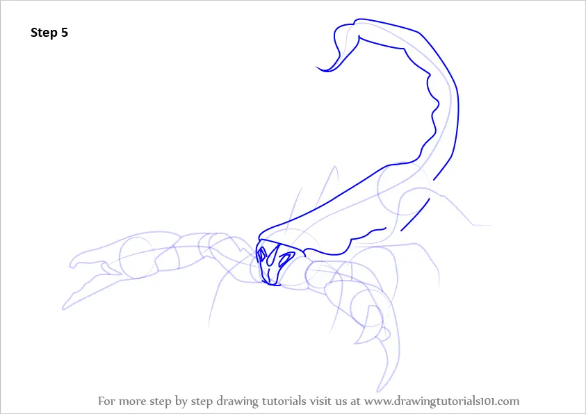 How to Draw an Emperor Scorpion (Scorpions) Step by Step