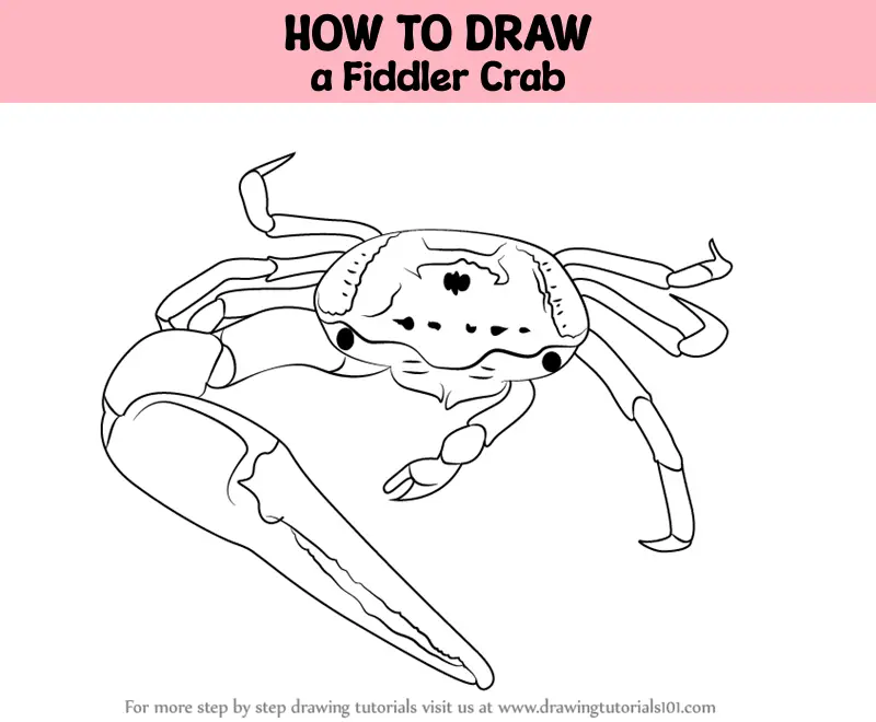 Step by step to draw a Crab. Drawing tutorial a Crab. Drawing