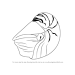 How to Draw a Nautilus