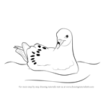 How to Draw a Fulmar