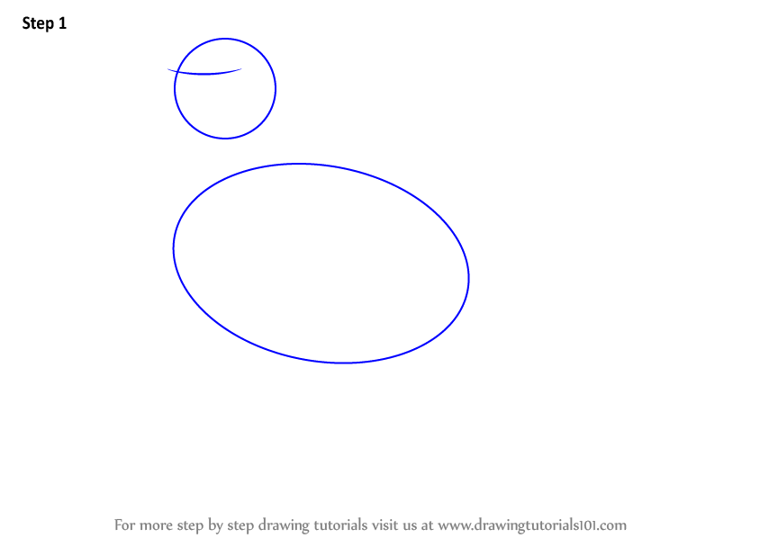 How to Draw a Herring Gull (Seabirds) Step by Step ...