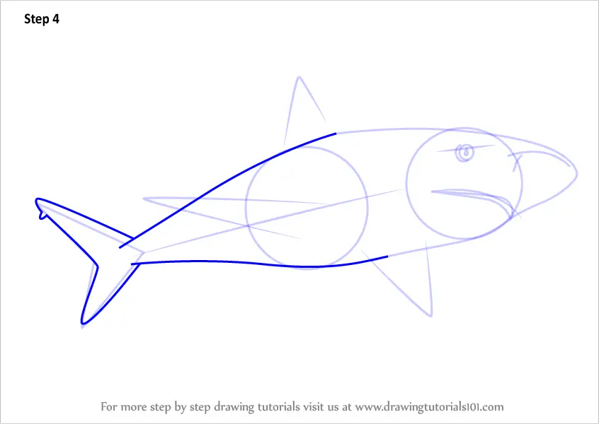 How to Draw a Caribbean Reef Shark (Sharks) Step by Step
