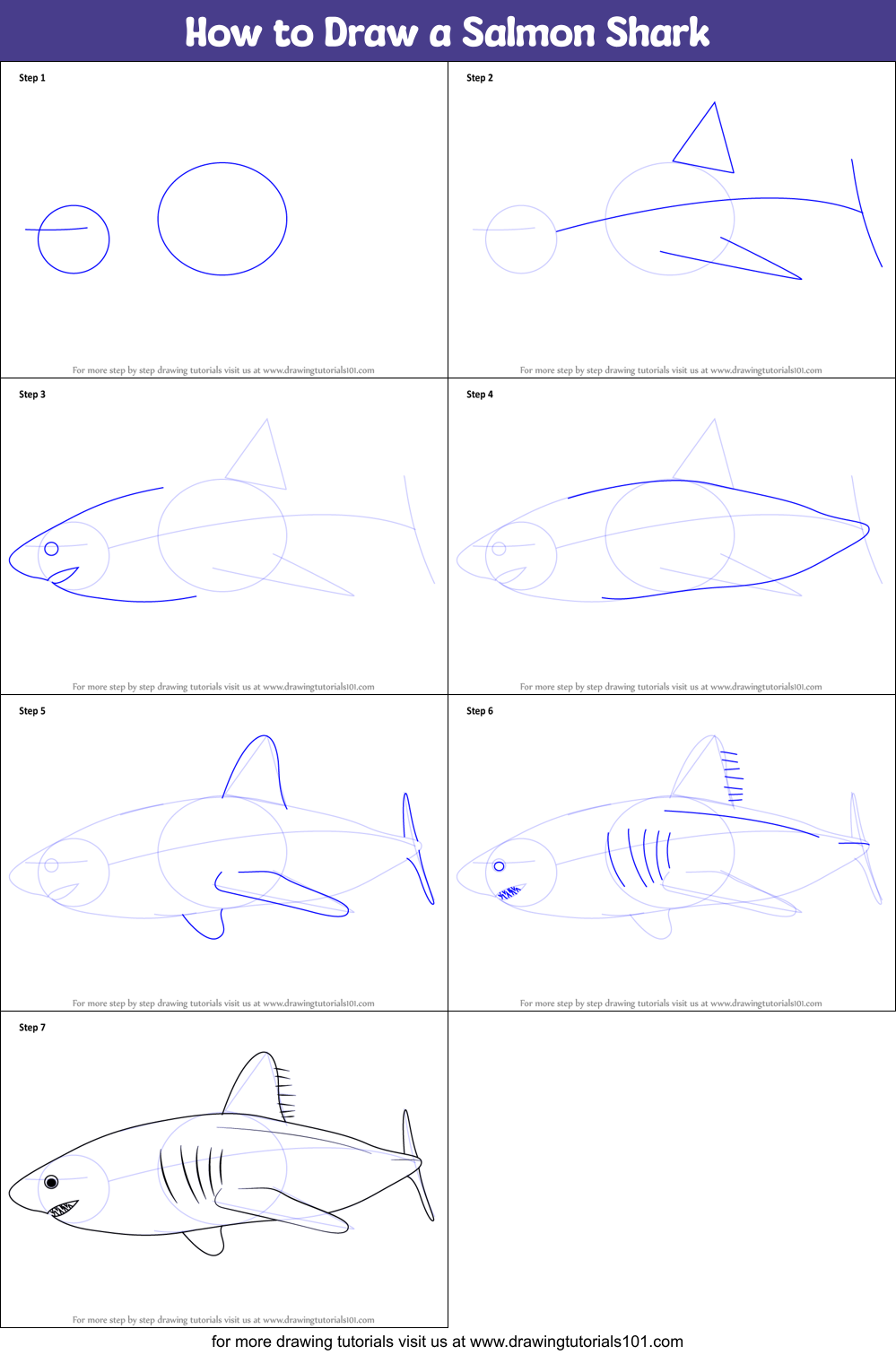 How to Draw a Salmon Shark (Sharks) Step by Step | DrawingTutorials101.com