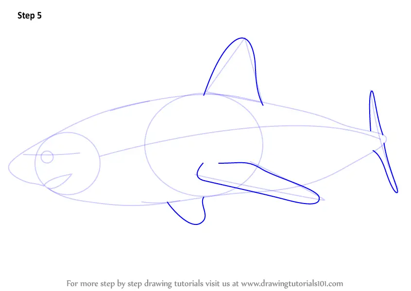 How to Draw a Salmon Shark (Sharks) Step by Step | DrawingTutorials101.com