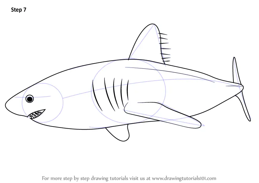 How to Draw a Salmon Shark (Sharks) Step by Step | DrawingTutorials101.com