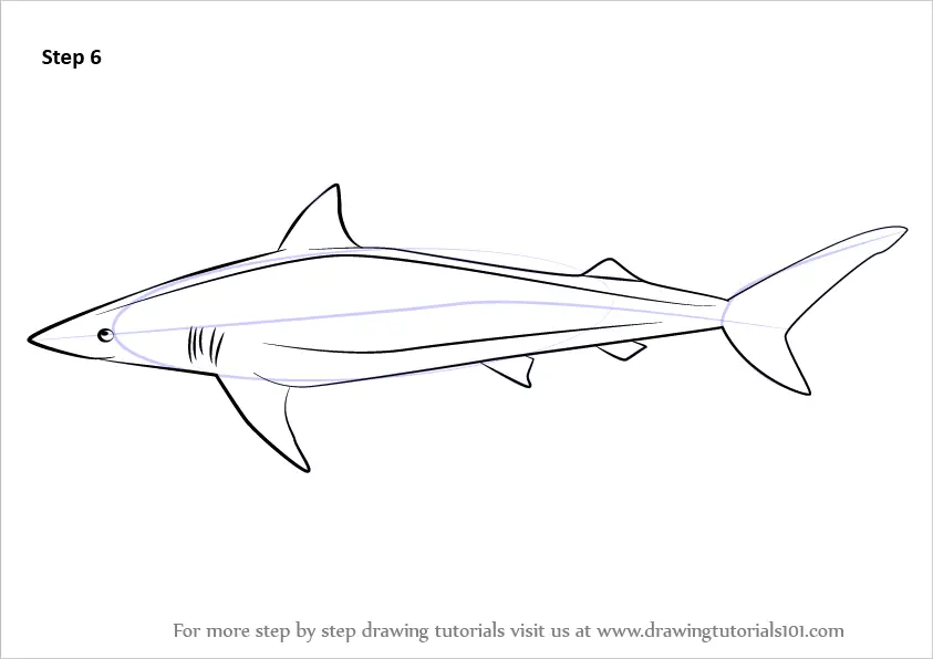 How to Draw a Spinner Shark (Sharks) Step by Step | DrawingTutorials101.com