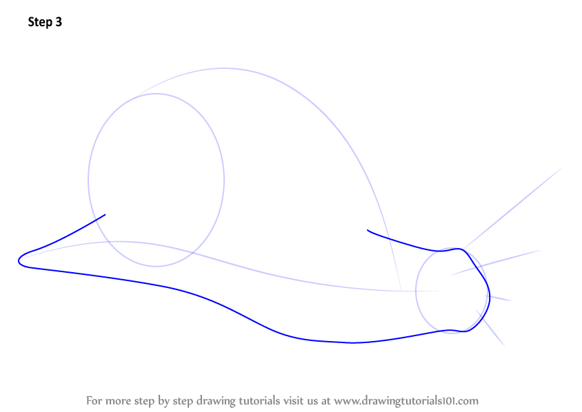 to step draw animals how land step by : to Step Snail How Learn Drawing (Snails) a Draw by Step