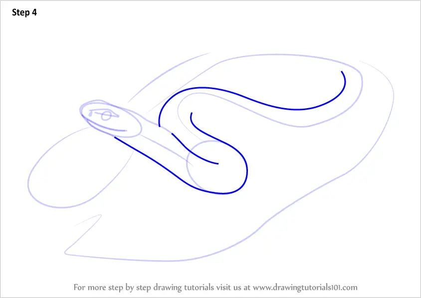 How To Draw A Blue Racer Snake Snakes Step By Step