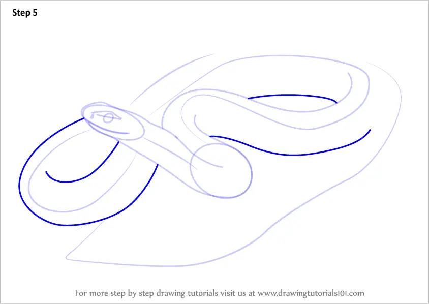 How To Draw A Blue Racer Snake Snakes Step By Step