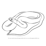 How to Draw a Blue Racer Snake