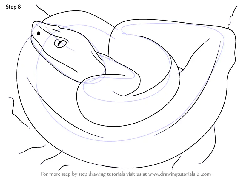 Learn How to Draw  a Golden  Lancehead Snakes  Step by Step 