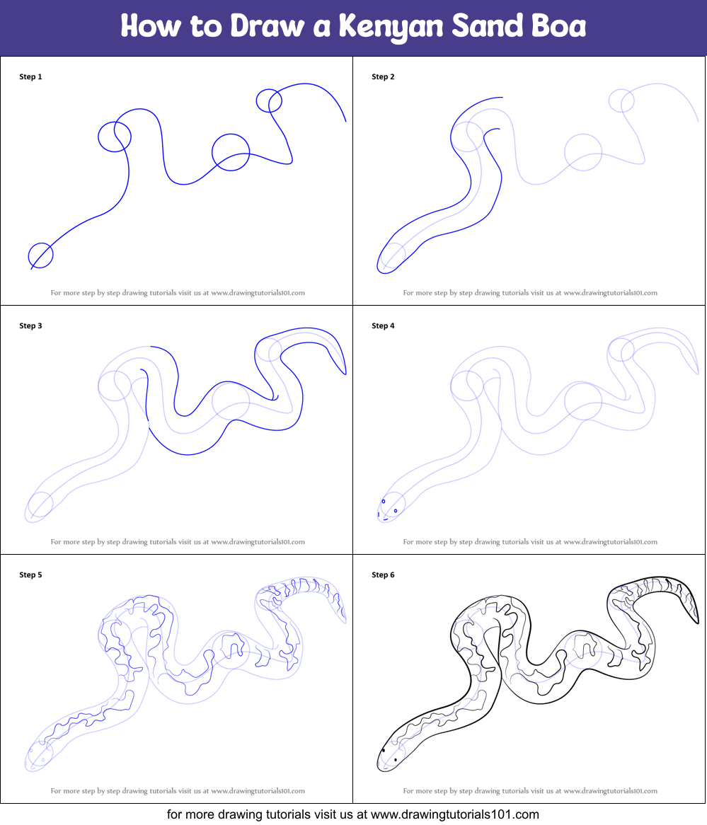 How To Draw A Boa Constrictor Step By Step - Dill Fralmoverse