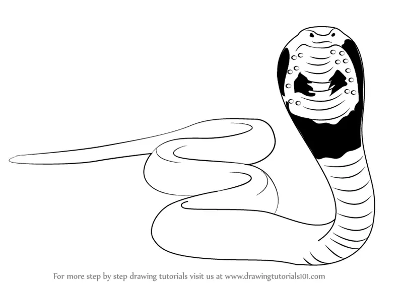 How to Draw a Cartoon Snake with Easy Step by Step Drawing Tutorial | How  to Draw Step by Step Drawing Tutorials