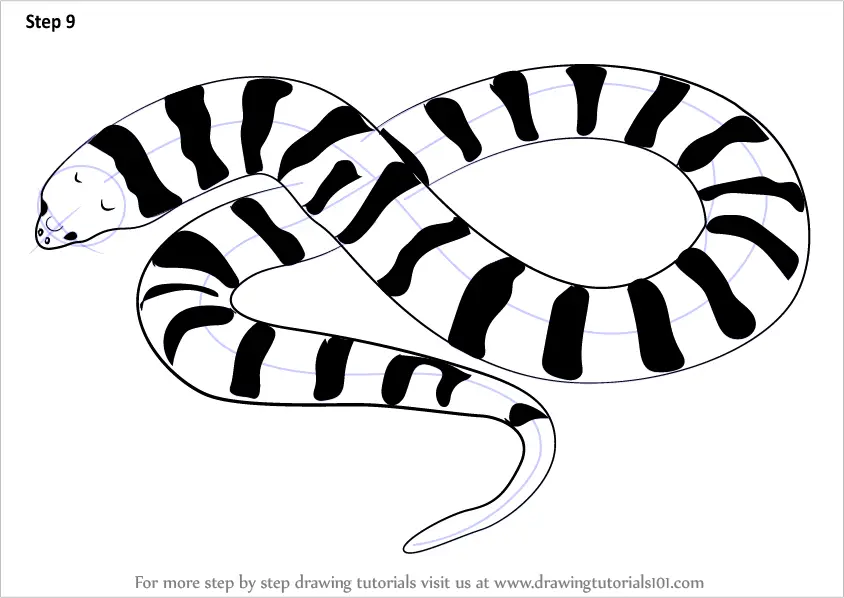 Easy Snake Drawing  HelloArtsy