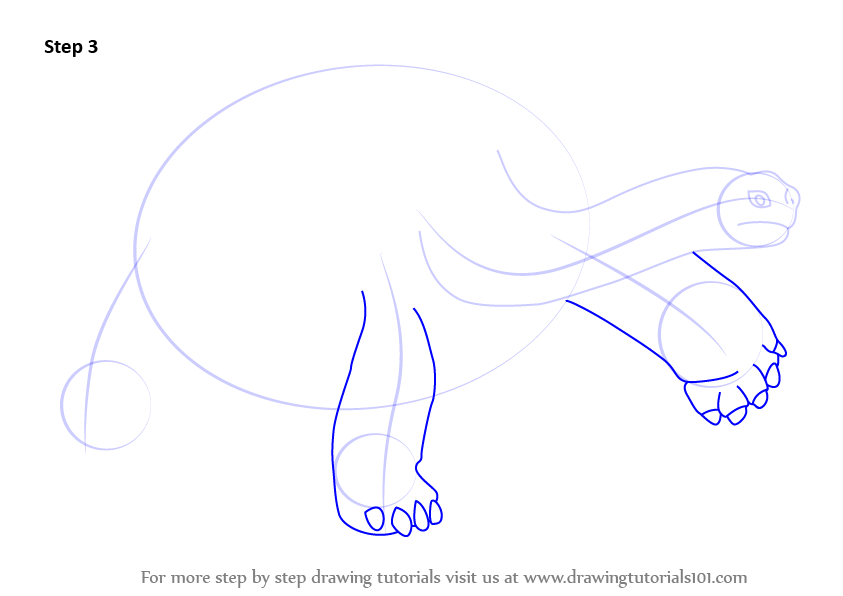 Learn How to Draw a Galapagos Tortoise (Turtles and Tortoises) Step by